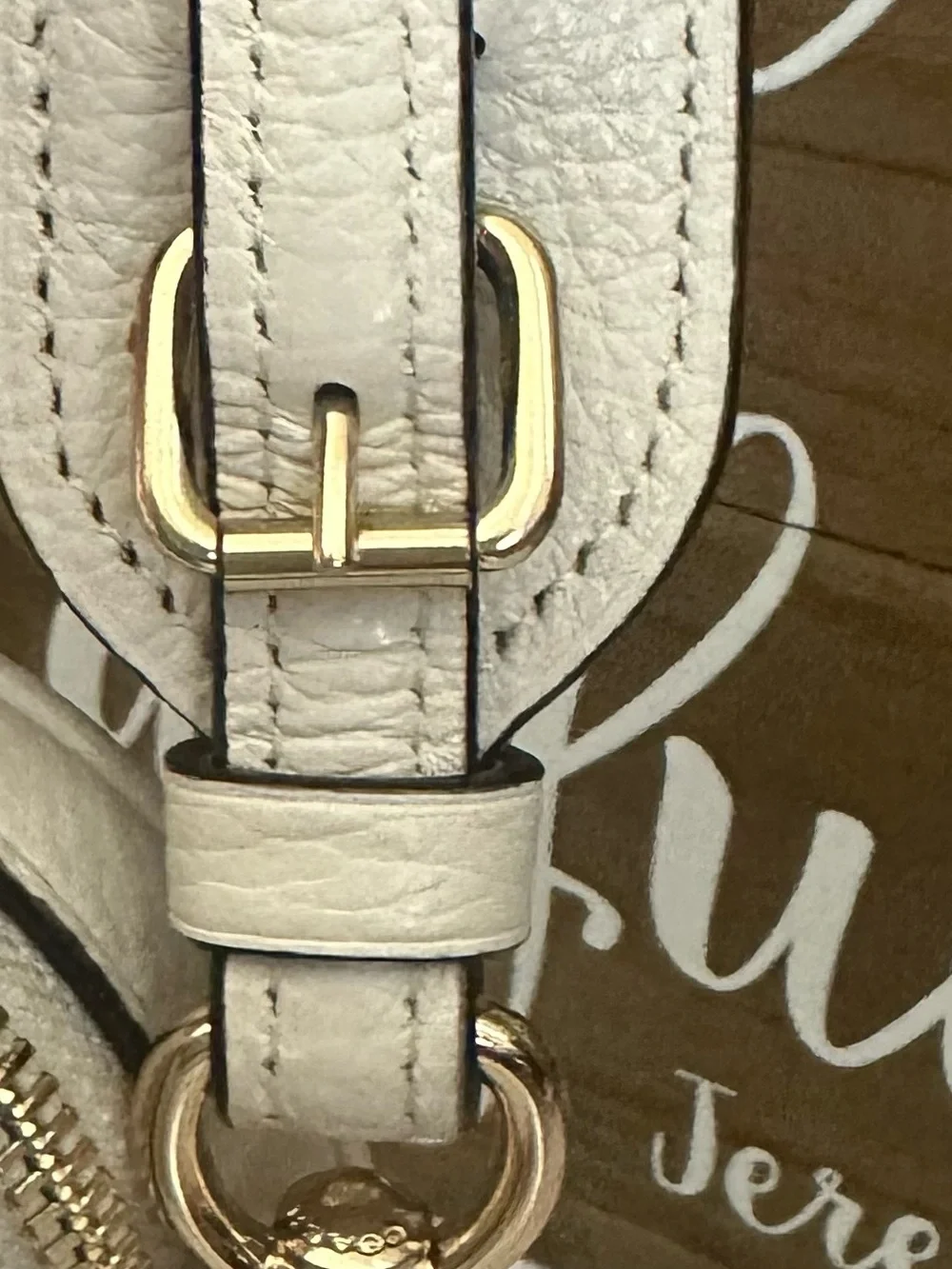 Coach Jes Crossbody Bag (Chalk)